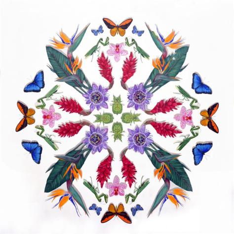 Hisham Echafaki - Ballet 03