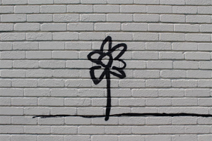 Banksy Flower (1)